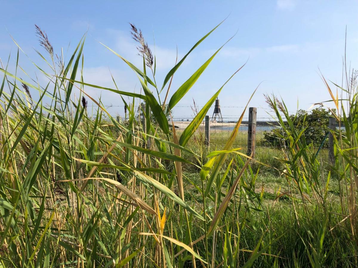 Noord Huus Ferienapartment Cuxhaven Eksteriør billede